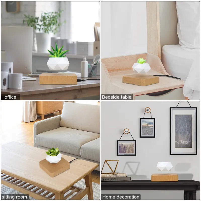 Magnetic Levitating Air Bonsai Pot 🪴🧲