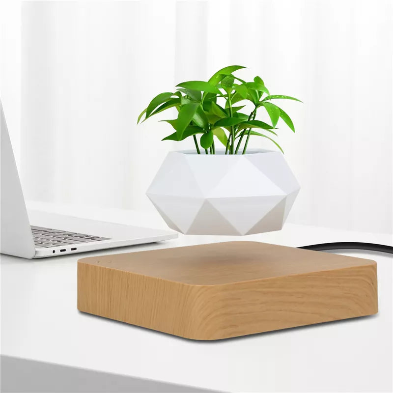 Magnetic Levitating Air Bonsai Pot 🪴🧲