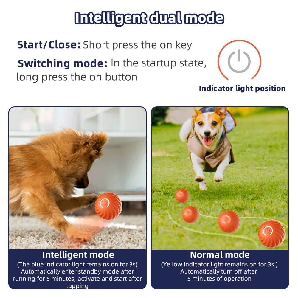 Furry Friend Interactive Toy🐶🐾🎾