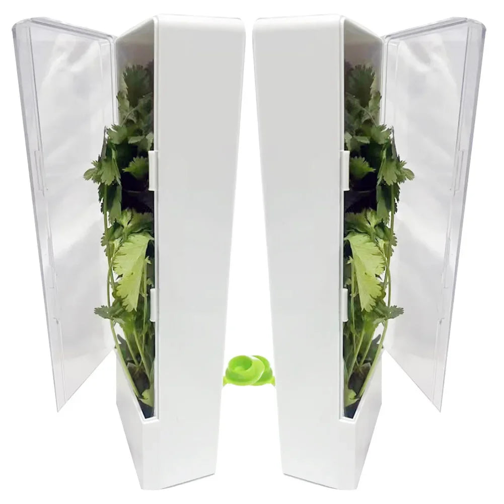 HerbsFresh Fruit & Vegetable Crisper