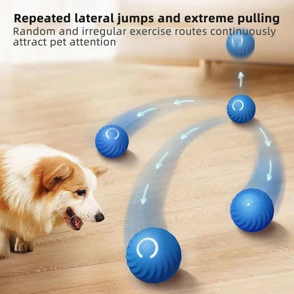 Furry Friend Interactive Toy🐶🐾🎾