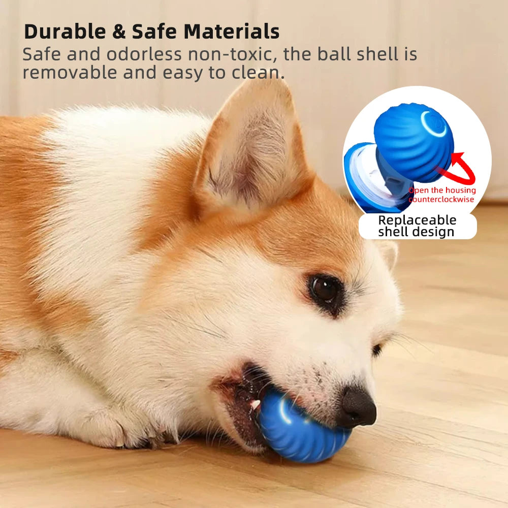 Furry Friend Interactive Toy🐶🐾🎾